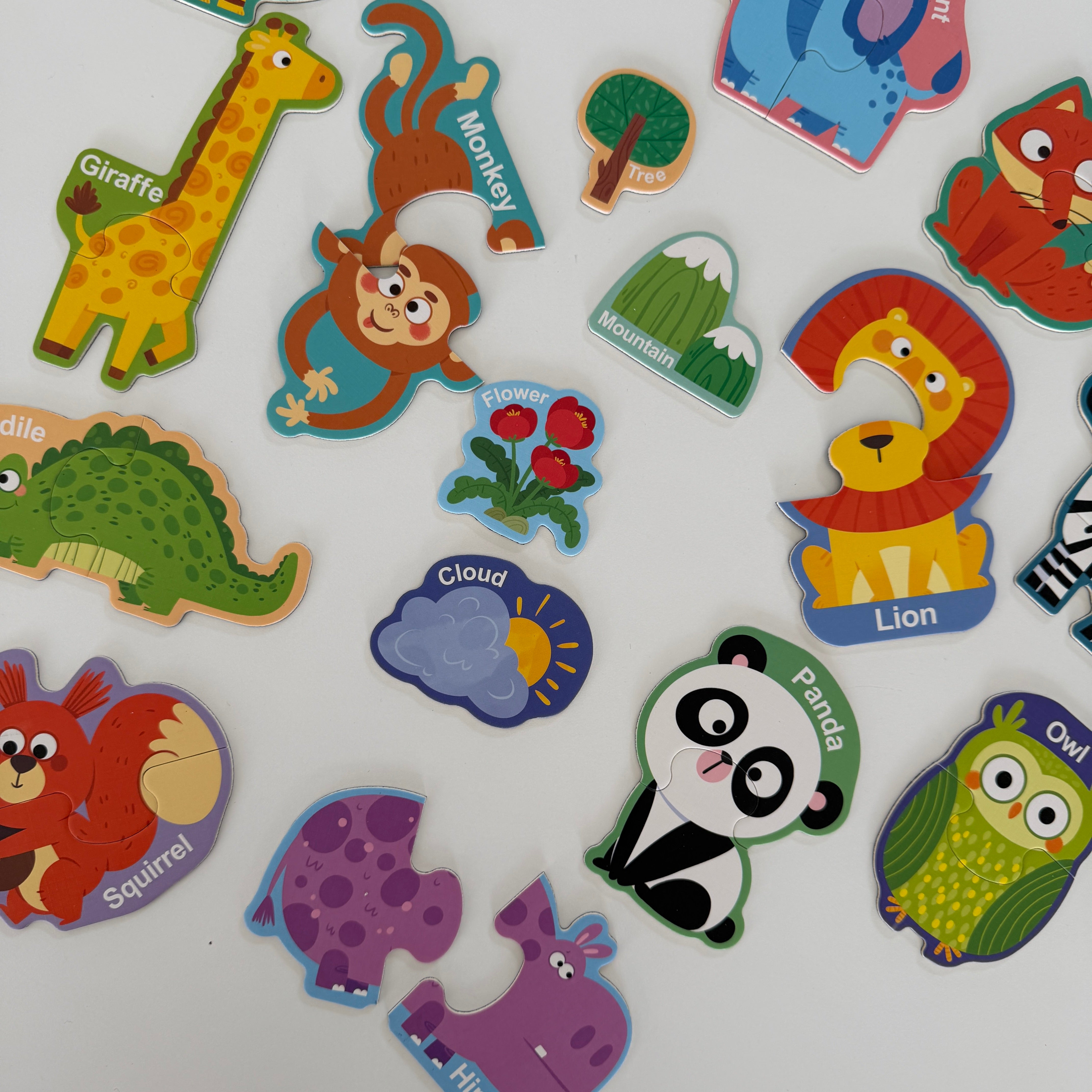 Magnet Dyr - Engelsk