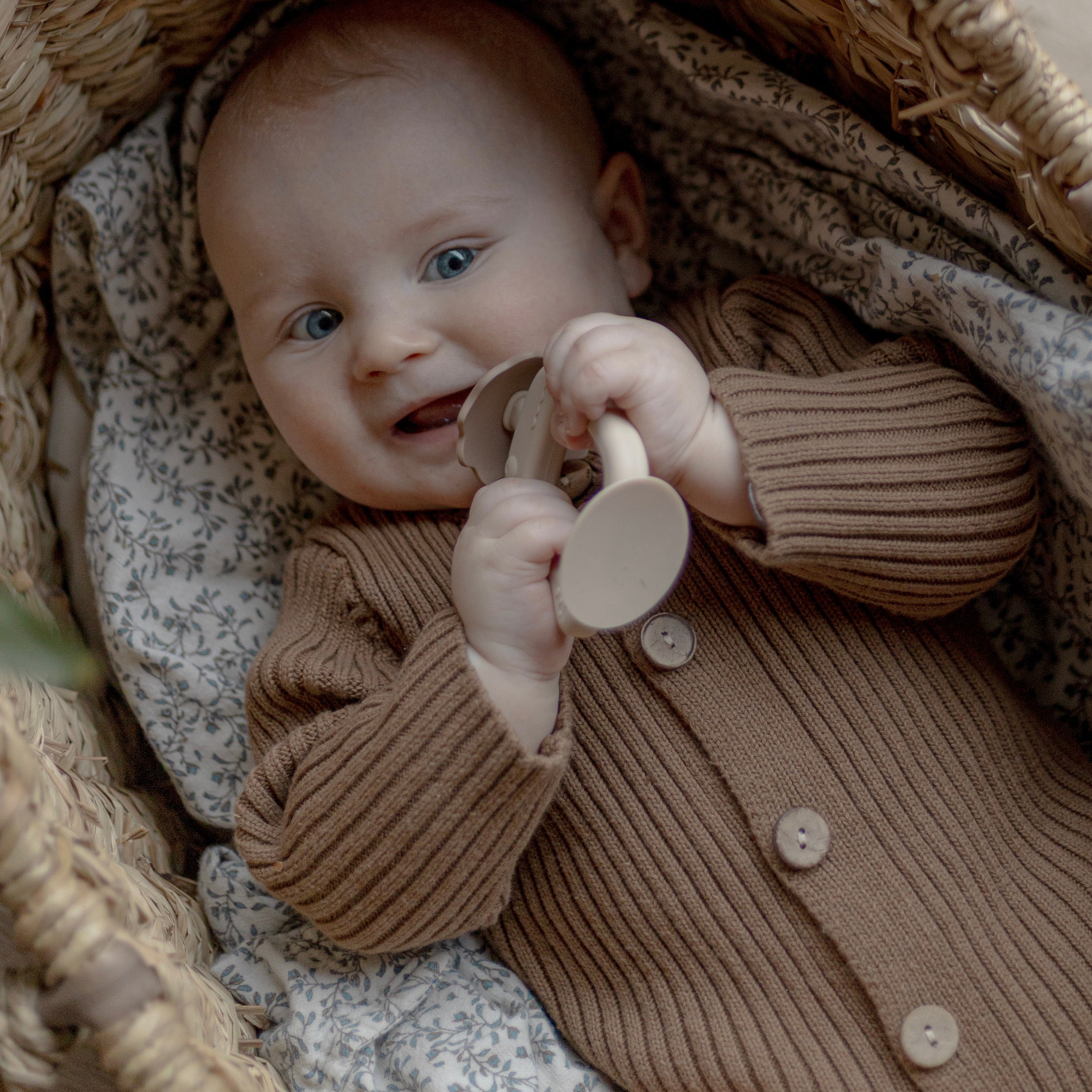 Dino tandbørste bidering